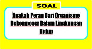 apakah peran dari organisme dekomposer dalam lingkungan hidup