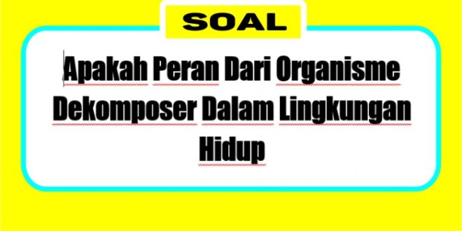 apakah peran dari organisme dekomposer dalam lingkungan hidup